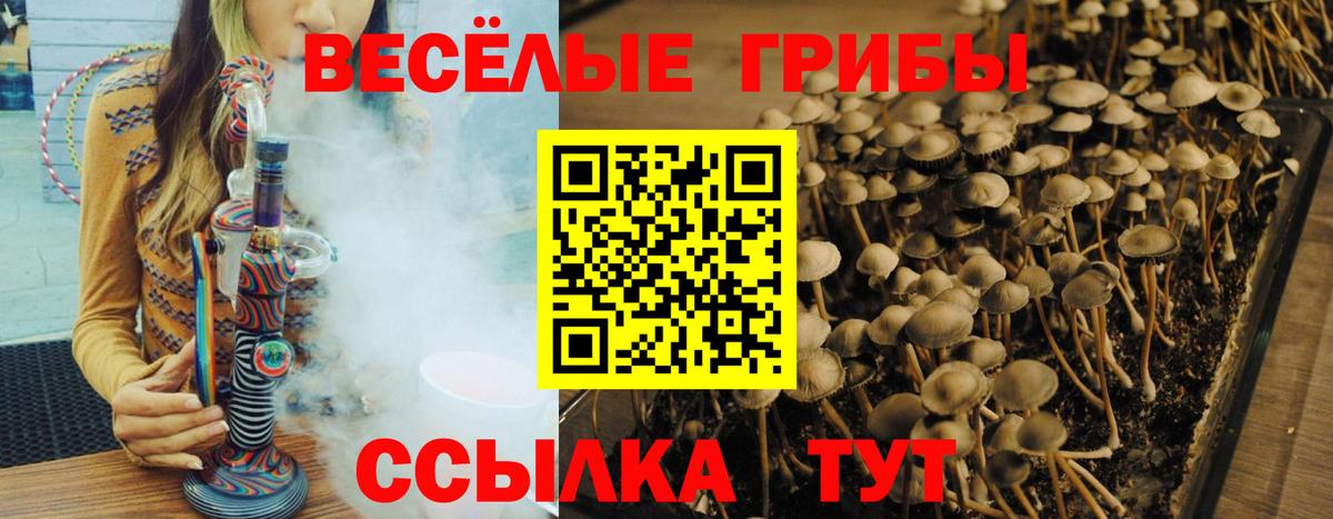 Красноуфимск  Галлюциногенные грибы ЛСД  Вход с VPN 